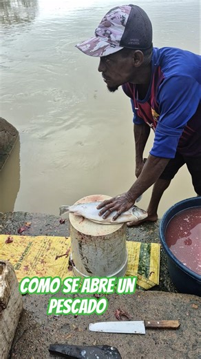 cómo se abren un pescado boca chico parale bola al sistema