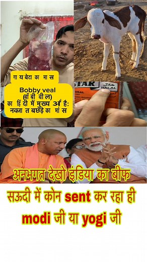 13M views · 330K reactions | Yehe dheli se aya saudi me beef modi yogi dono ki city ka Maas #Modipm #yogibeef #UpdateNews #baatkartehebadibadi #viral @topfans | Indiakhan7 | Facebook