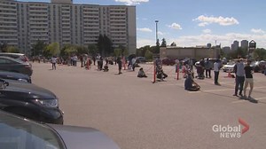 Vehicle sticker or driver’s licence expired in 2020? Both still legal in Ontario for now | Globalnews.ca