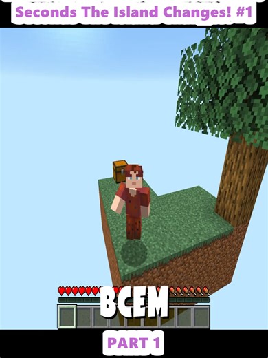 Minecraft Skyblock Challenge: Island Changes Every 30 Seconds