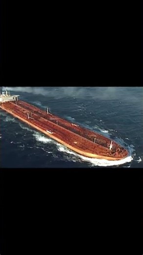 GIANT SHIP #ytshortsindia#ytshorts #viral #merchantmarine