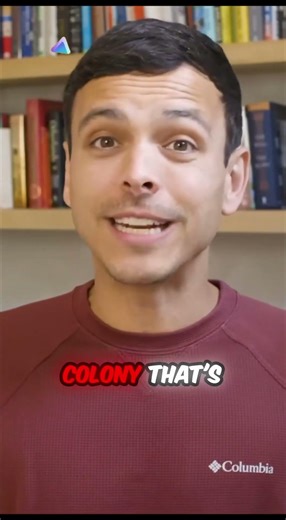 3D Printing Buildings Out of Moon Soi