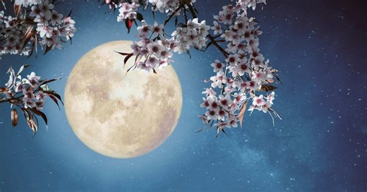 Calendario lunar de marzo 2026: fases de la Luna, corte de pelo y depilación