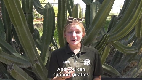 A 2nd Sam's Club location to open in Tucson