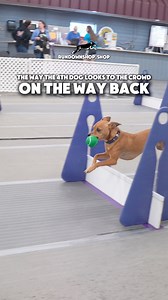 47K views · 1.1K reactions | “Are you not entertained?” | RundownRiver | Facebook