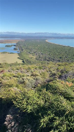 give peace a chance ☮️ (@_givepeaceachance)’s videos with original sound - give peace a chance ☮️