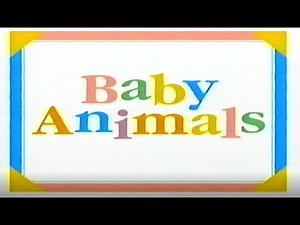 Baby Animals From The Wild (1998)