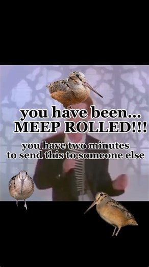 ‪@martin_gr‬ u have have been meep rolled
