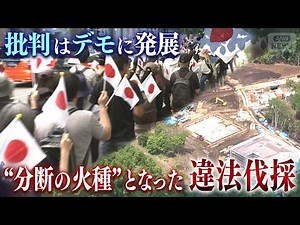 Large-scale illegal logging discovered at the foot of Mount Yotei: Criticism escalates into forei...