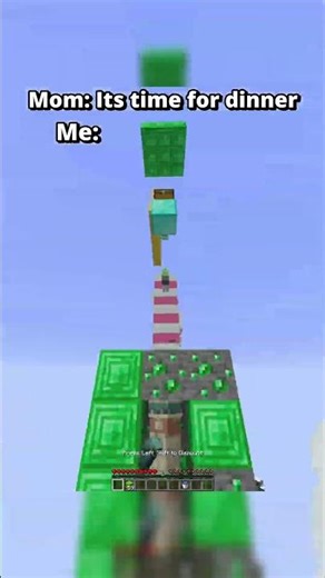 Minecraft Meme