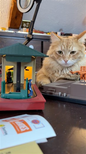 My Cats Love This Lionel Operating Freight Station