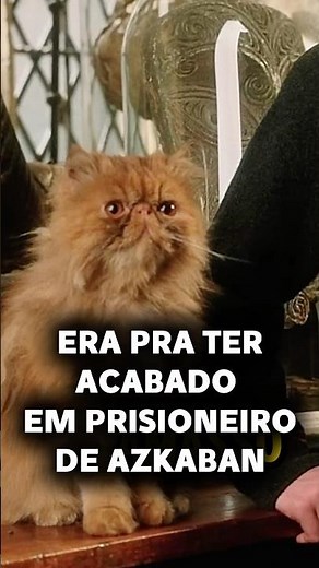 THE HARRY POTTER SAGA WAS SUPPOSED TO END IN PRISONER OF AZKABAN!! UNDERSTAND WHY!