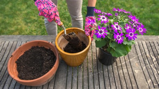 A Must-Try DIY That'll Turn An IKEA Kitchenette Into A Clever Garden Upgrade