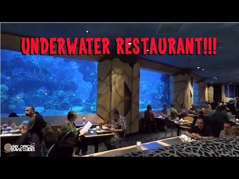 Dining at Disney: Coral Reef Restaurant EPCOT