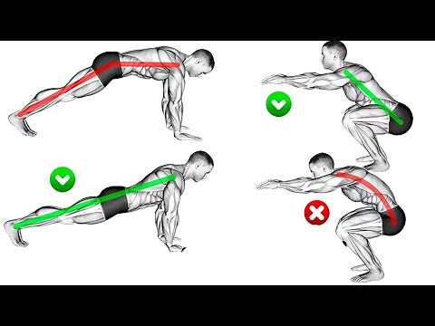 GUIA DE TREINO: COMO EXECUTAR OS EXERCÍCIOS CORRETAMENTE