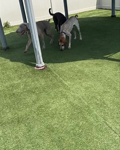 6.5K views · 67 reactions | ☀️ Come out and meet Carl, Apollo, Char...