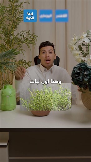 أفضل النباتات المنزلية للمبتدئين 🌿