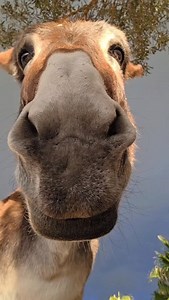 This angle wasn’t meant for humans... | Finca Rai