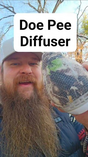 #deerhuntingtips #sweetnovember #deerhunting #buckhunter #deerseason #huntinghumor #bigbucks #buckscrape #deerscent #beardsandbowsoutdoors | Beards And Bows Outdoors