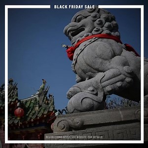 Collette’s Black Friday Sale | Collette