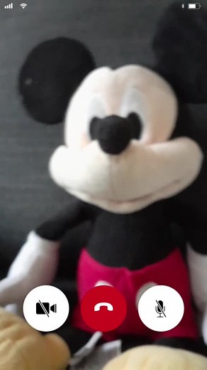Photo Negative Mickey Mouse Calling Sound