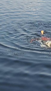 2.5K views · 61 reactions | A lady from Nzulezo showed her swimming ability. #visitghana #visitghananow #0244606762 | Nzulezo Stilt Village Tourism Project | Facebook