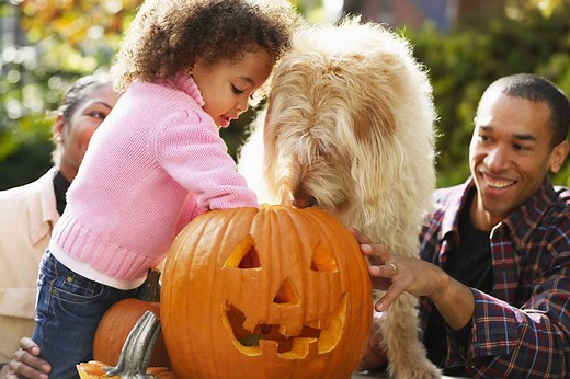 127 Halloween Dog Names That Are Both Scary and Sweet