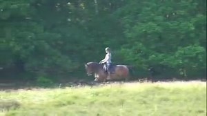 It’s time to go on forest rides!🌳🤠🕵️‍♂️ Let me help you on the go with some tips when you take your (young) horse out for their first forest trip to explore the world together in a joyful way🤩 Learn how to give your young horse a good first ride in the forest and what to do when he gets tense by watching the full video of me and Jack on our first forest trip, which he found a little bit difficult to begin with. Watch it all at www.featherlightacademy.com 🐎 With things we try out for the fir