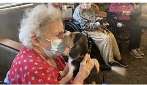 PHOTOS: 6-week-old beagle puppies rescued from facility visit Fairfax County nursing home