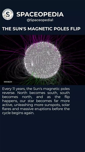 THE SUN'S MAGNETIC POLES FLIP