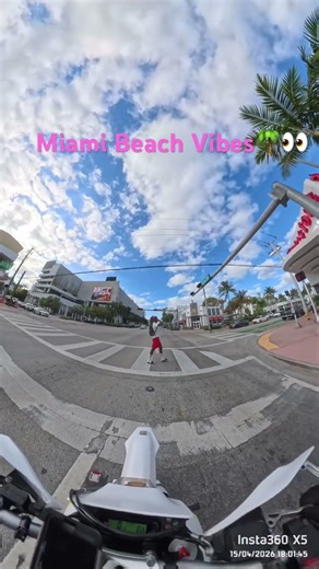 Normal Day in Miami Beach 🌴👀