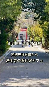 秋らしい心地よい日差しの日 荏柄天神の参道から浄明寺の隠れ家カフェへの路地道をご案内します #cafe #カフェ巡り #鎌倉カフェ #カフェ好きな人と繋がりたい