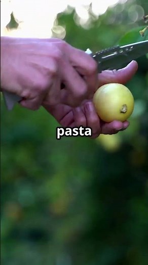 The Great Spaghetti Tree Hoax 🍝 #funnyhistory