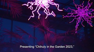 There’s something new growing at the Garden. It’s not like anything you’ve seen before! "Chihuly in the Garden 2023," our most ambitious exhibition to date, will sprout May 2–October 15. We are pleased to host the work of the world-renowned artist Dale Chihuly in this stunning exhibition uniting art and nature. With thousands of pieces of blown glass forms in 18 dramatic installations throughout the Garden’s grounds, "Chihuly in the Garden 2023" presents these artworks on a grand scale. Lelia an