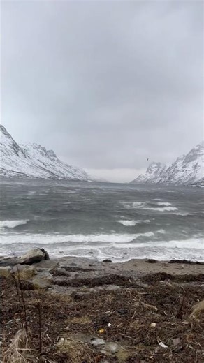 Arctic Wind Storm in Tromsø ❄️🌬️ | Pure Nature Sound