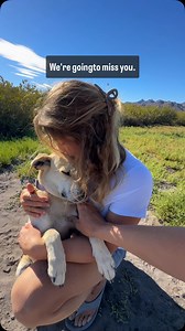 We are SO grateful for all the flight angels out there (especially ours today) & we hope to inspire some of you to be a flight angel someday because it is a vital role for dog rescue!🐶✈️😇 Flight angels are volunteers, travelers on vacation, who fly with a rescued pet from its place of rescue to their forever home! It’s a simple process for the flight angel, you just add the dog to your reservation and the rescue organization should do the rest! We found Daisy’s flight angel through a Facebook 