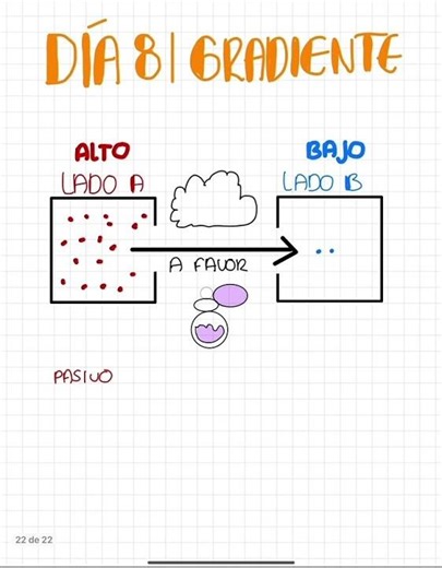 Gradiente de concentración en 30 segundos