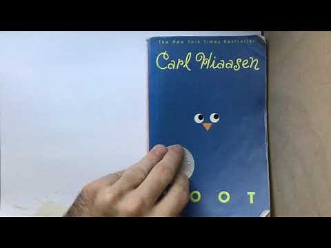 Hoot Chapter Four Read Aloud