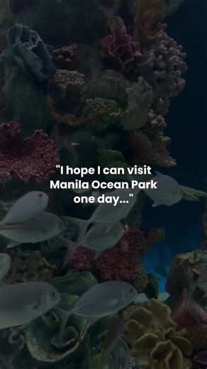 Discover Manila Ocean Park: Your Ultimate Adventure Awaits