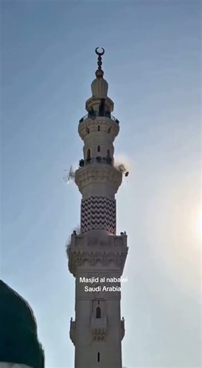 Masjid-e-Nabawi Medina Saudi Arabia🕌🤯 #shorts