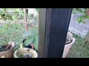 How to seal and protect wood surface with a clear coat spray