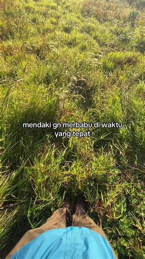 joss jiss view ne #naikgunung #merbabu #view