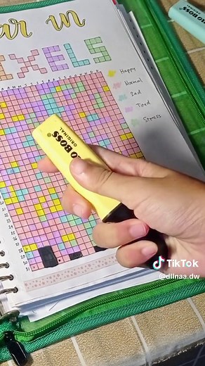 Fill out mood tracker for last day of 2023! Finally this year in pixels is completely full i love how it turn out 💓 cant wait for 2024 #journal #journaling #bulletjournal #bulletjournaling #bulletjournal2024 #yearinpixels #moodtracker