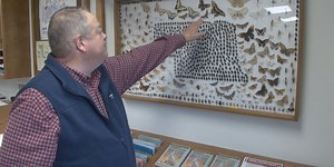 Artistic insect display showcases Nebraska Diversity