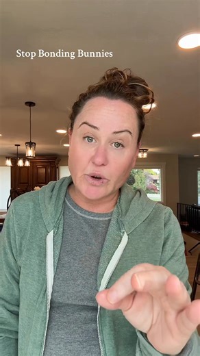 572K views · 6.4K reactions | Stop bonding bunnies. It’s the equivalent of putting two wild dogs together until they get along. You need to socialize them. You can use the same socialization methods dog owners use. You can look it up, read blogs, and research it, but stop trying to bunny bond. | Rabbit Pals | Facebook