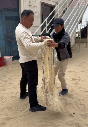 #CastNettingTutorial #LiveCastNetDemo