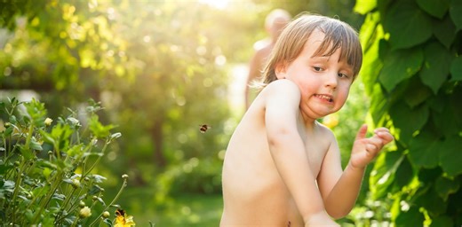Horseflies and wasps and jellyfish – how to stay safe from stings and bites this summer