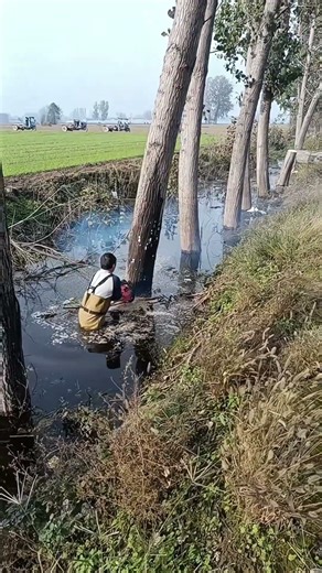 🪓 Underwater Tree Cutting Technique