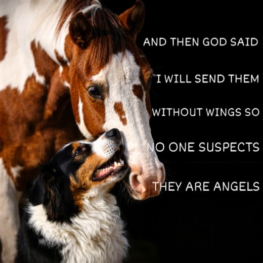 No One Suspects They are Angels