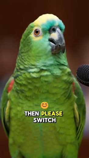 This Bird Defeated the Officers with these Movements 🔥🦜